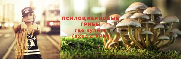 mdpv Арсеньев