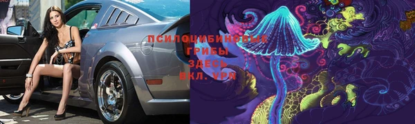 гидропоника Балабаново