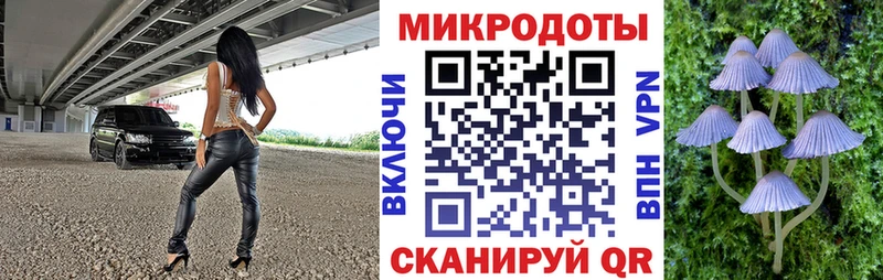 Галлюциногенные грибы Psilocybe  цена   mega ссылка  Кизляр 